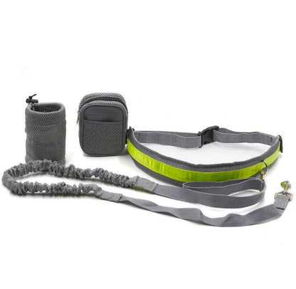 Adjustable hands-free dog leash set in gray, black, green, and red options