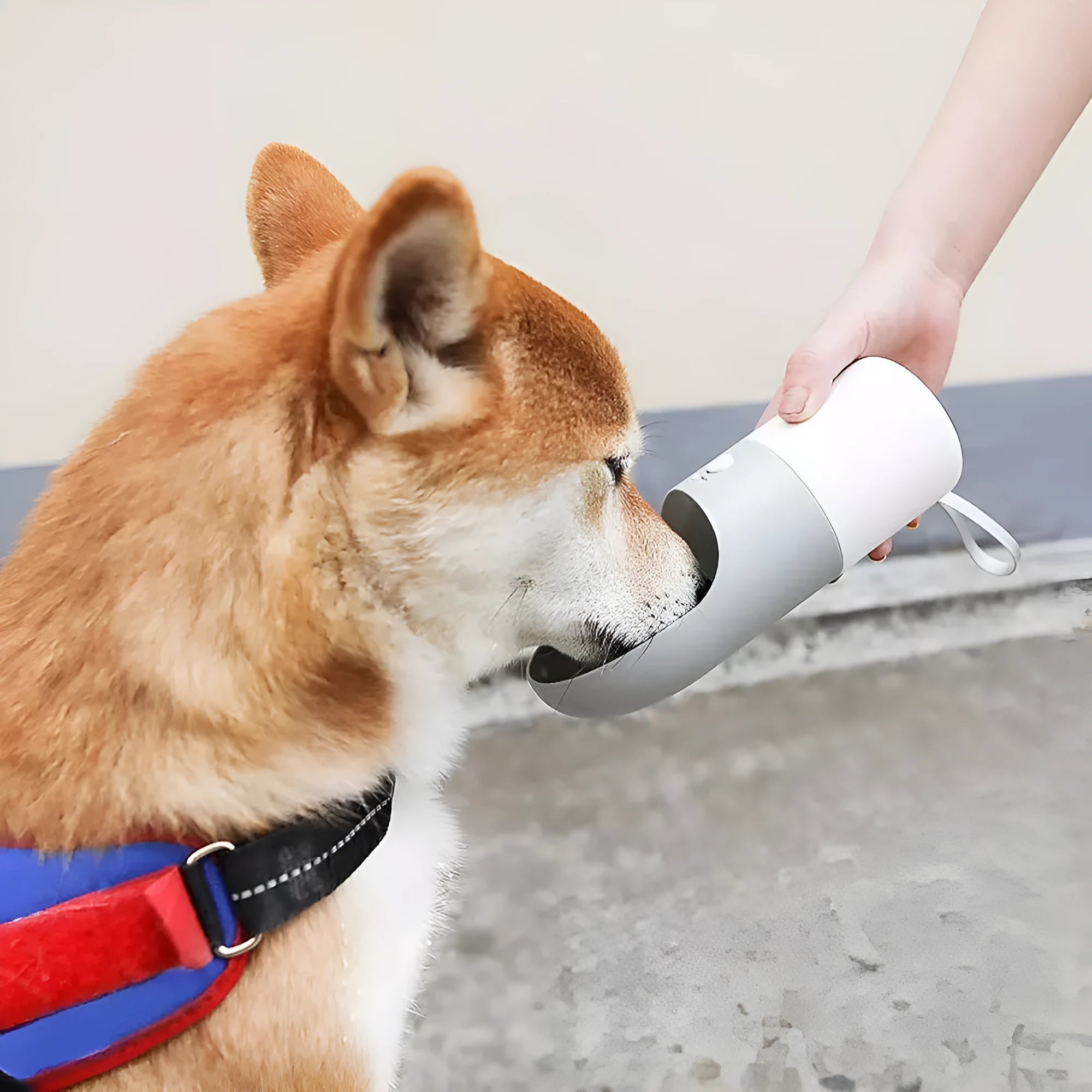 White Moestar rocket-shaped pet drinking cup with grey accents and 270ml capacity