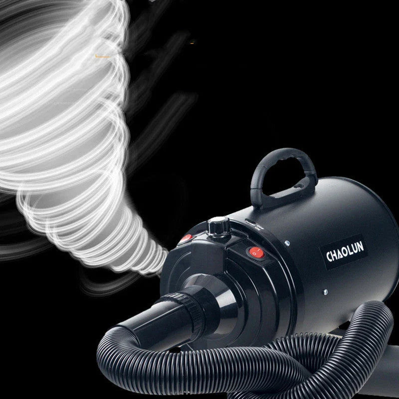 High-power mute pet hairdryer in black, white, pink, and blue for quick drying of pets