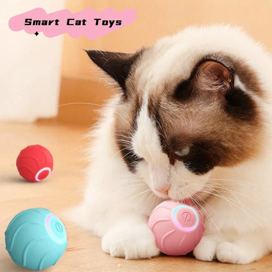 Automatic, self-bouncing cat toy balls in vibrant blue, red, and pink colors