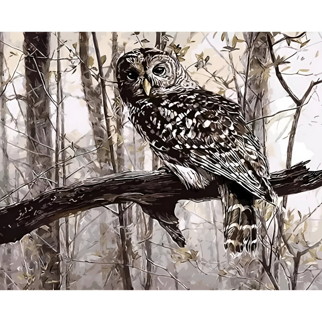 Owl digital painting kit showing 40x50cm numbered canvas, acrylic paints, and nylon brushes