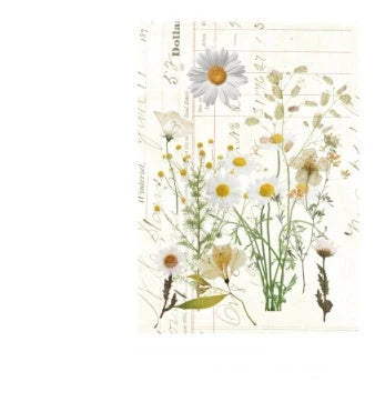 Herbarium series DIY plant stickers pack of 10, featuring durable pet+art paper and white ink designs