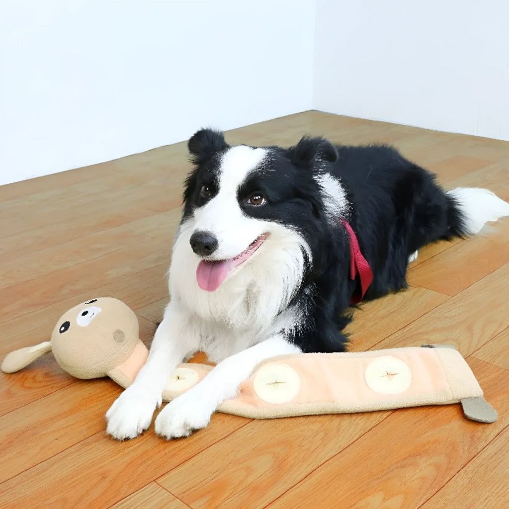Plush fleece rabbit dog training toy with food compartments and squeaker, measuring 650mm in length