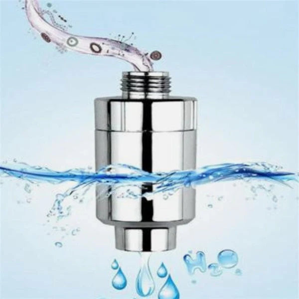 Multi-function shower water purifier with stainless steel finish