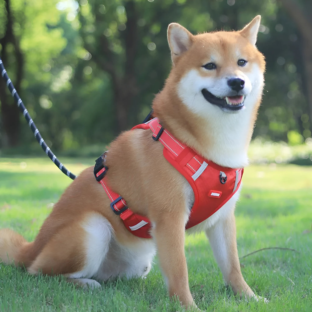 Nylon no pull reflective dog harness vest in orange oxford cloth with adjustable buckles and handle