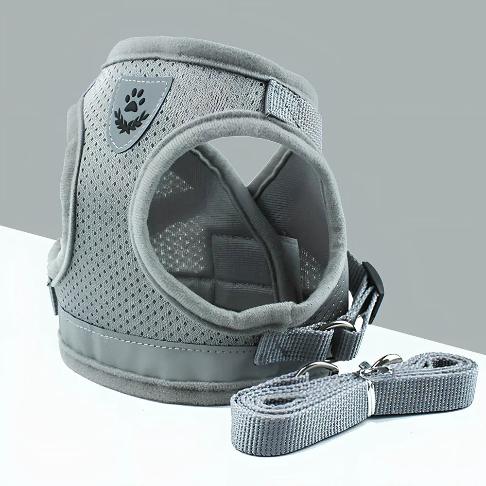 Blue breathable mesh pet harness with reflective belt, adjustable for 1.5-10kg dogs, includes 120cm towing rope for safe walks