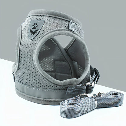 Blue breathable mesh pet harness with reflective belt, adjustable for 1.5-10kg dogs, includes 120cm towing rope for safe walks