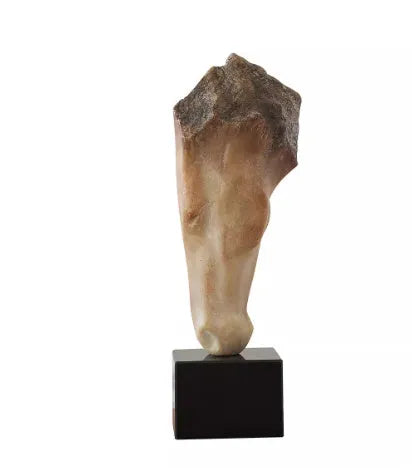 Abstract bronze horse head desktop sculpture with carved texture on a wooden table.