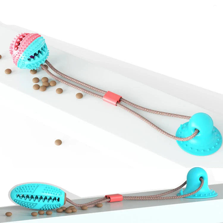 Durable suction cup molar toy for dogs promoting dental health through play