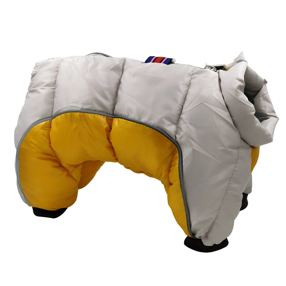 Brown coffee winter cotton jacket on small dog, waterproof thicker coat for puppies in sizes 10-26