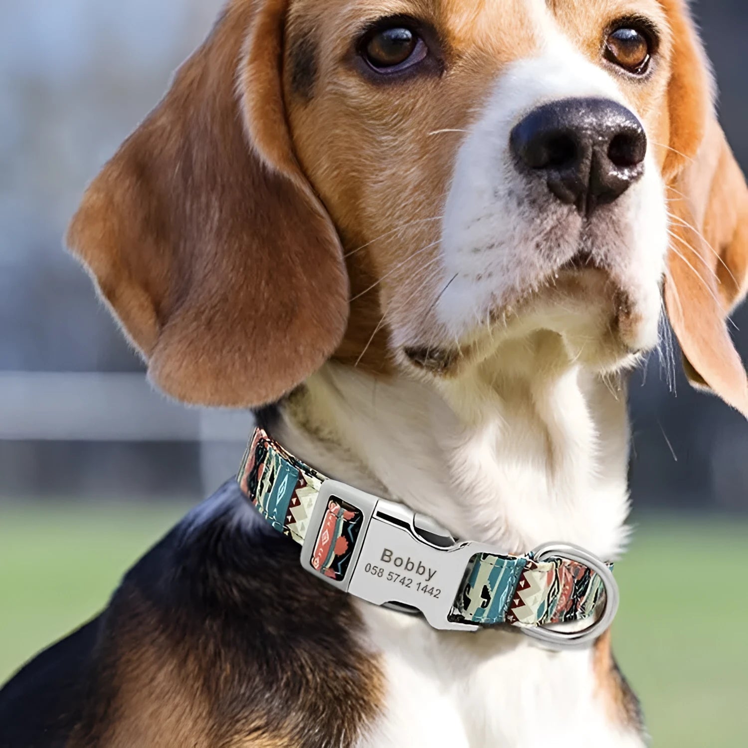 Canvas dog collar with semi-metal buckle in bohemian blue pattern for medium and large dogs
