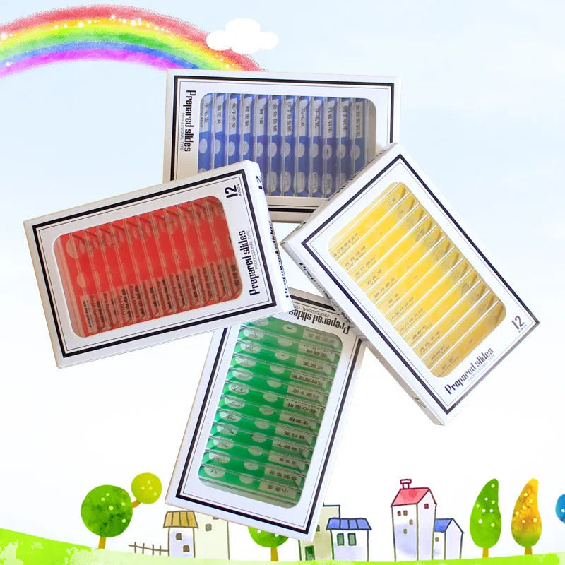 48 plastic microscope slides with plant and animal specimens in colour-coded boxes for children's science observation