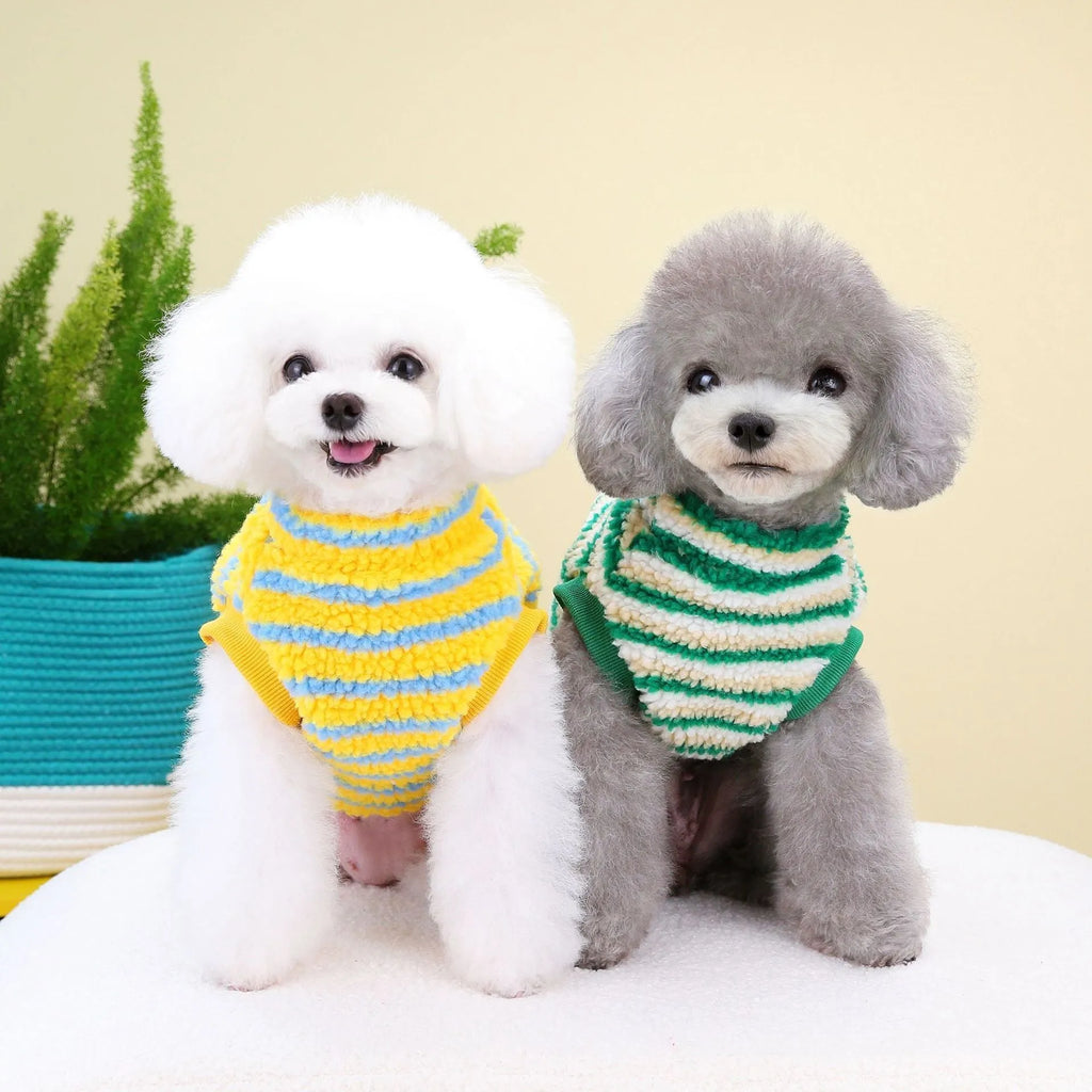 Thickened striped bear pet top in polar fluff, green colour, showing front view on a small dog