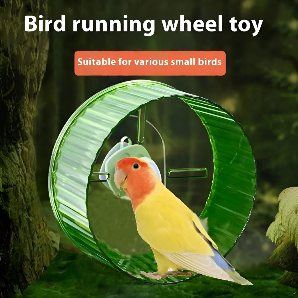 Parrot wheel running toy bird treadmill exercise wheel in plastic with multiple colour options