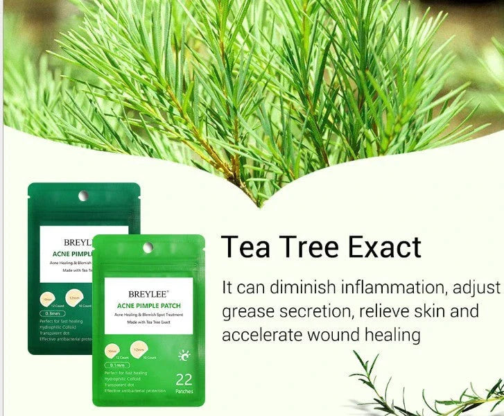 Tea Tree Acne Patch ultra-thin design for fading acne marks and blemishes
