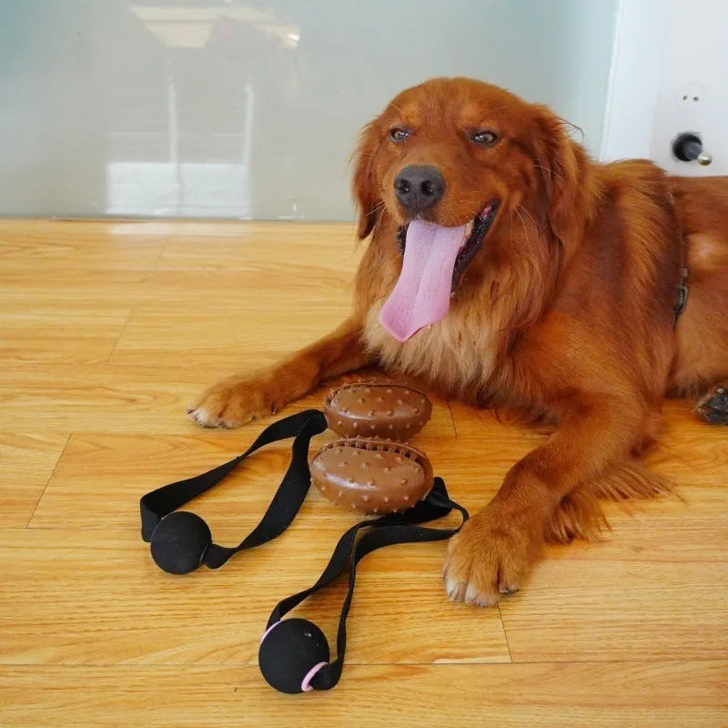 Brown coffee bean shaped TPR dog chew toy with rope knot and multiple holes