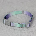 Gradient colour nylon dog leash set with matching collar and chest harness in pink blue pattern