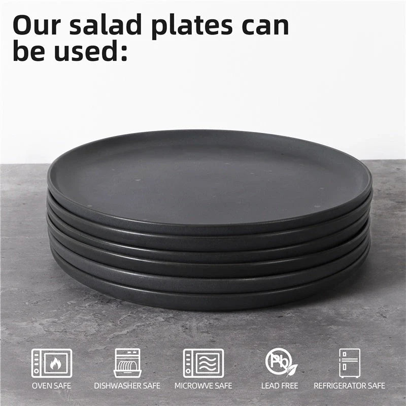 Set of 6 ceramic plates for steak, salad, and more, microwave and dishwasher safe