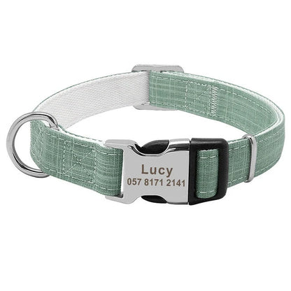 Custom dog collar with engraved tag in vibrant colours, adjustable for medium to large breeds