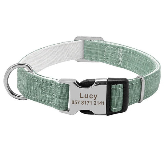 Custom dog collar with engraved tag in vibrant colours, adjustable for medium to large breeds