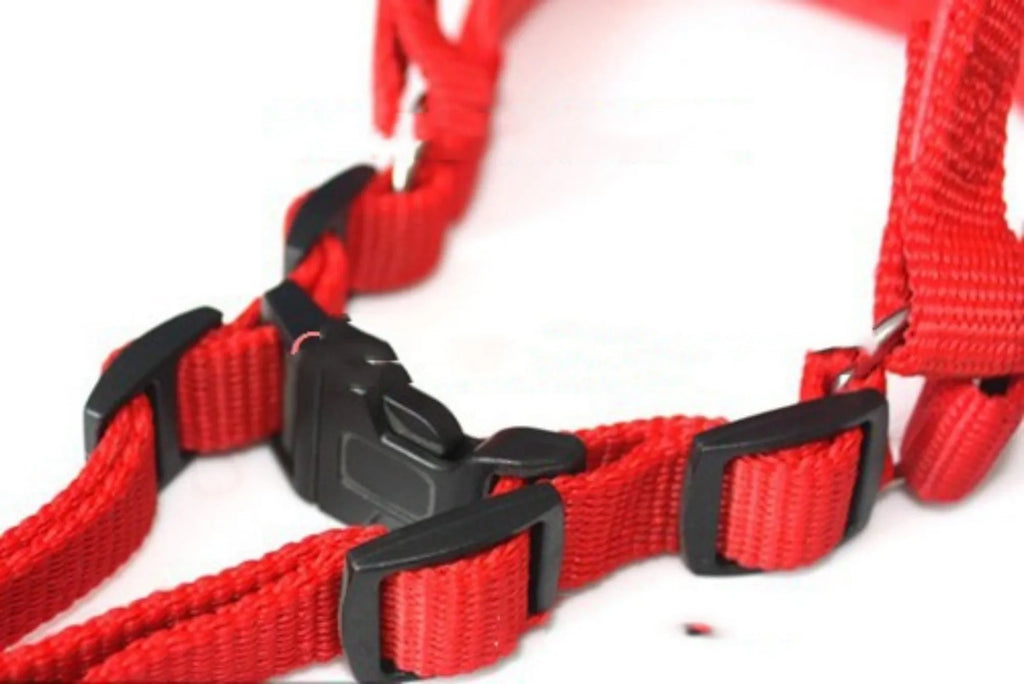 Soft foam-lined pet harness with nylon belt in black, blue and red colour options showing adjustable sizing