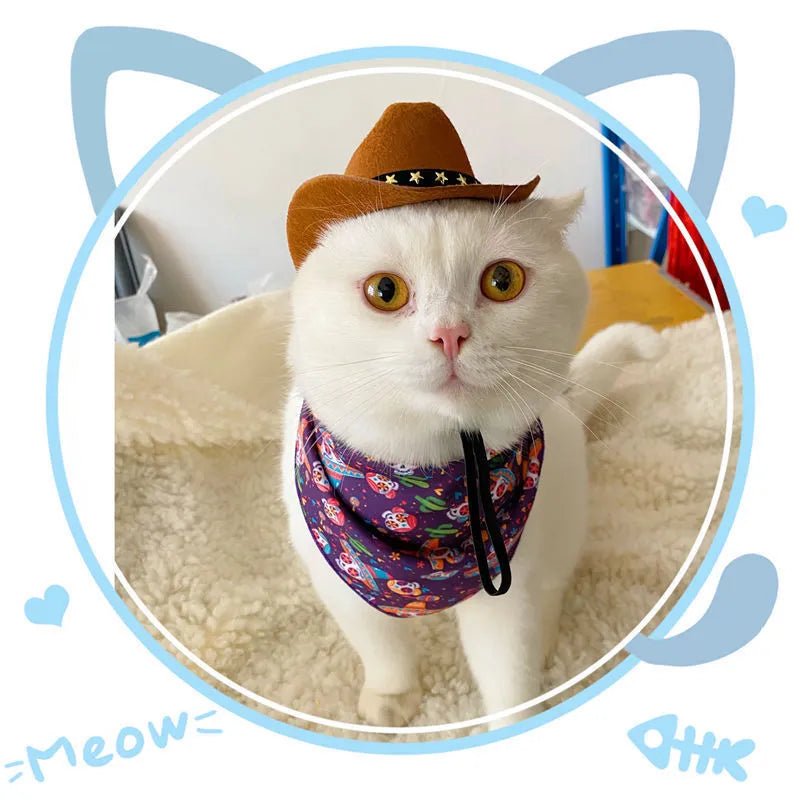 British cowboy hat for a cat or dog in non-woven fabric with decorative ribbon trim.
