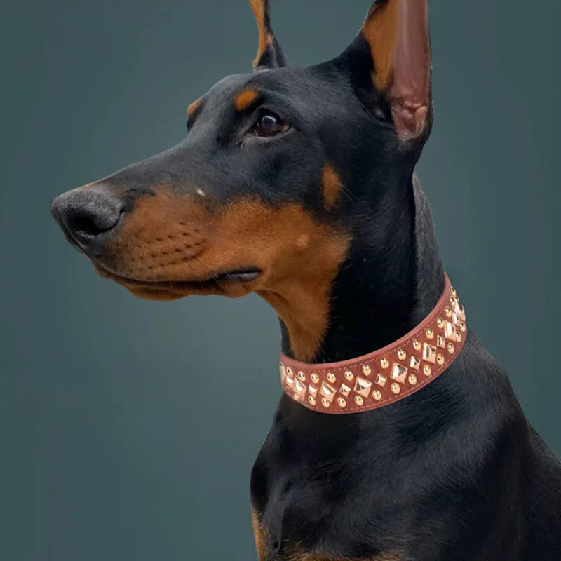 Rivet leather dog collar with golden rivet decoration in retro style, shown in black colour on a plain background
