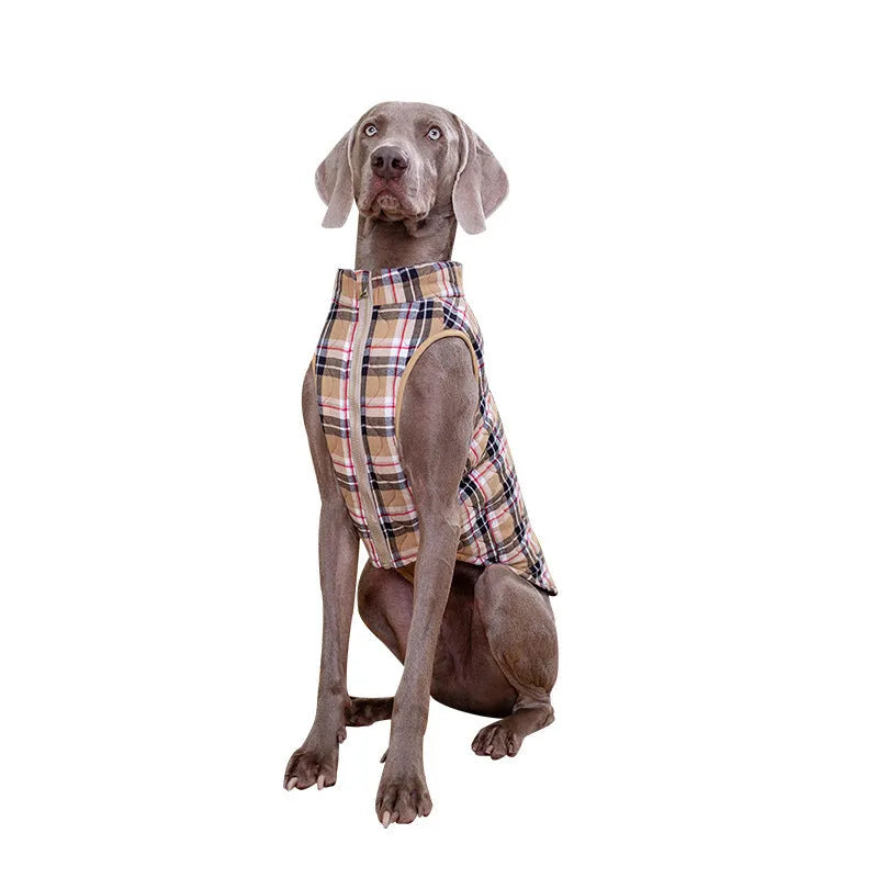 Winter pet dog jacket heavy cotton plaid with reflective webbing, green colour, on a small dog