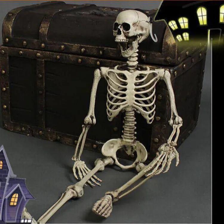 Full-size 170cm plastic skeleton prop with detailed skull and bone simulation on a white background.