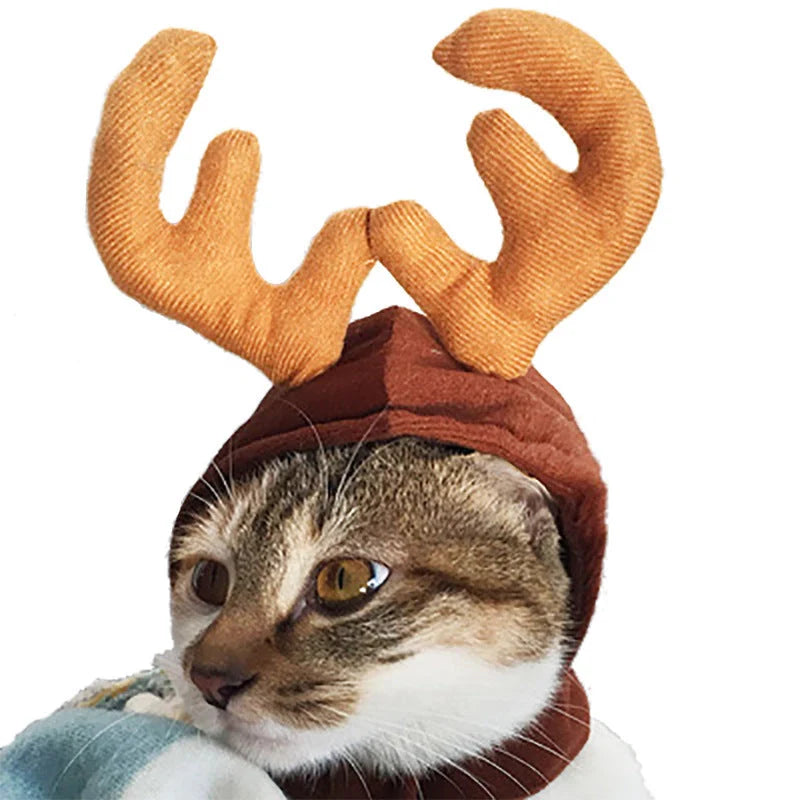 Cartoon-style cloth hat for cats in various designs, perfect for warmth and style