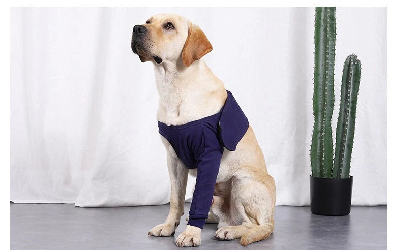 Dark blue anti-licking sleeve for dogs postoperative leg recovery