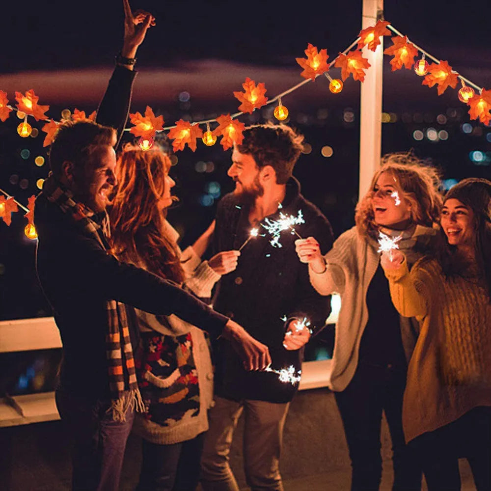1.5m LED pumpkin light string with 10 warm white lights, IP44 rated plastic shell, switch control