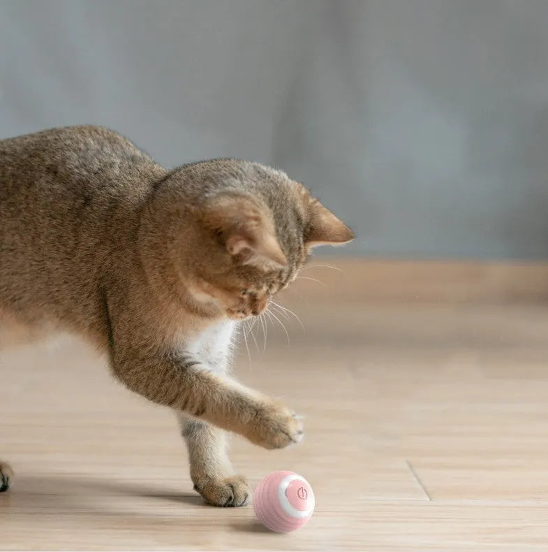 Blue and pink rechargeable automatic moving silicone cat toy ball with charging cable.