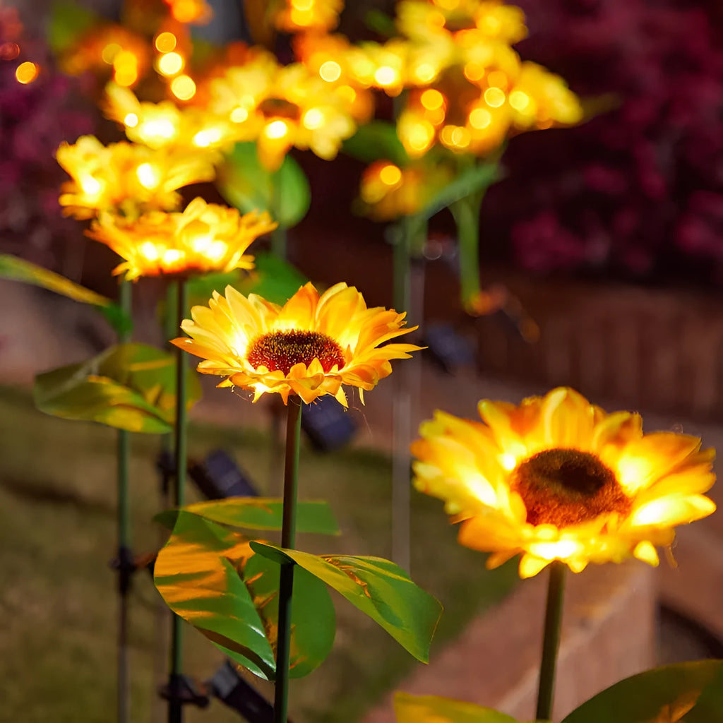 Solar sunflower lawn lamp with three sunflower heads on stainless steel stem in garden