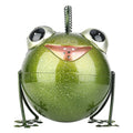Creative cartoon iron frog watering pot wrought iron garden home decoration novelty watering can