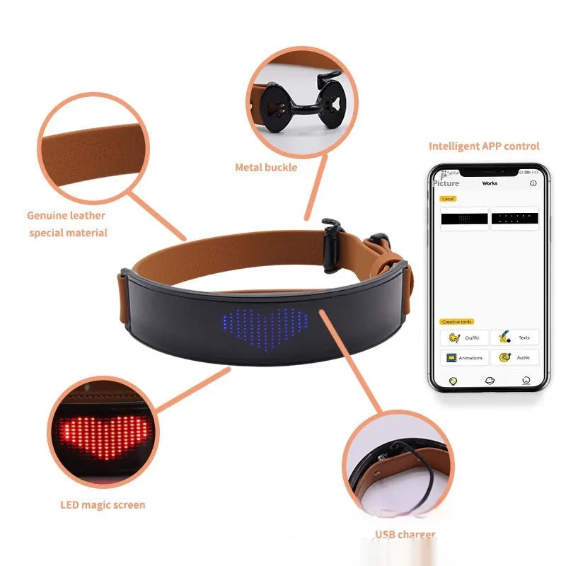 LED display collar dog harness in leather with four-color light for pet safety