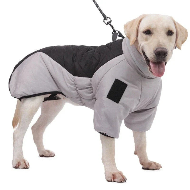 Waterproof winter dog coat for medium to large dogs, available in multiple colors and sizes.