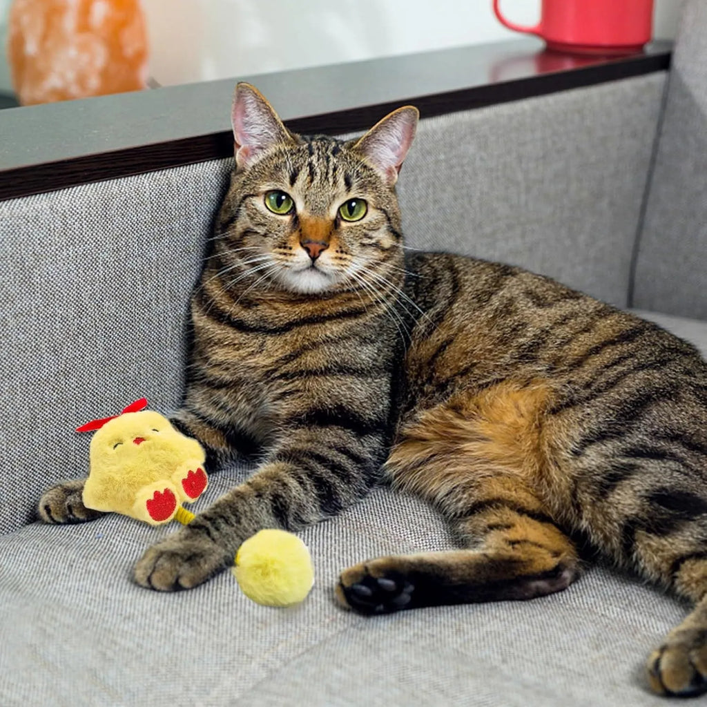 Set of interactive cat toys including plush animals, a silvervine fruit, a spring, and a fuzzy ball.