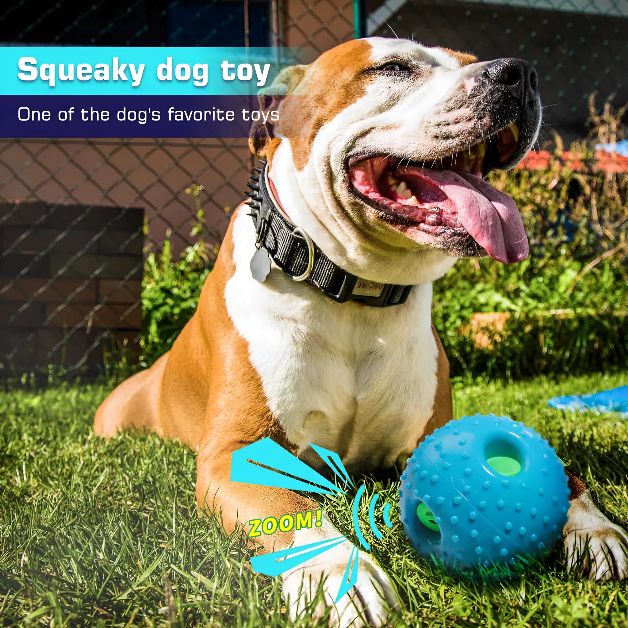Blue Pet Squall Ball dog toy made from TPR material with 12.5cm diameter placed on grass