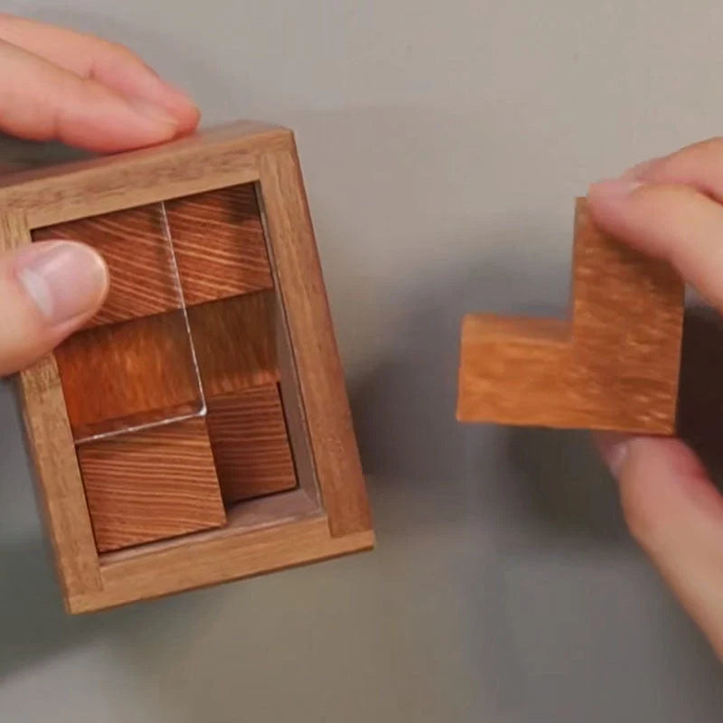 Einstein Lock Wooden Puzzle - Solid Wood Brain Teaser