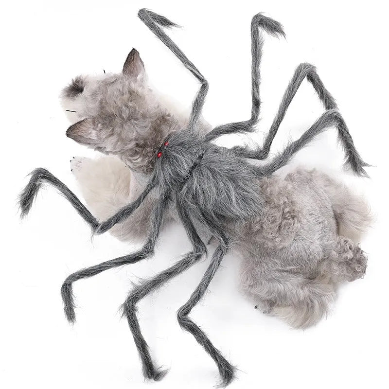 Grey and black spider Halloween costume for a small dog on a carpet.
