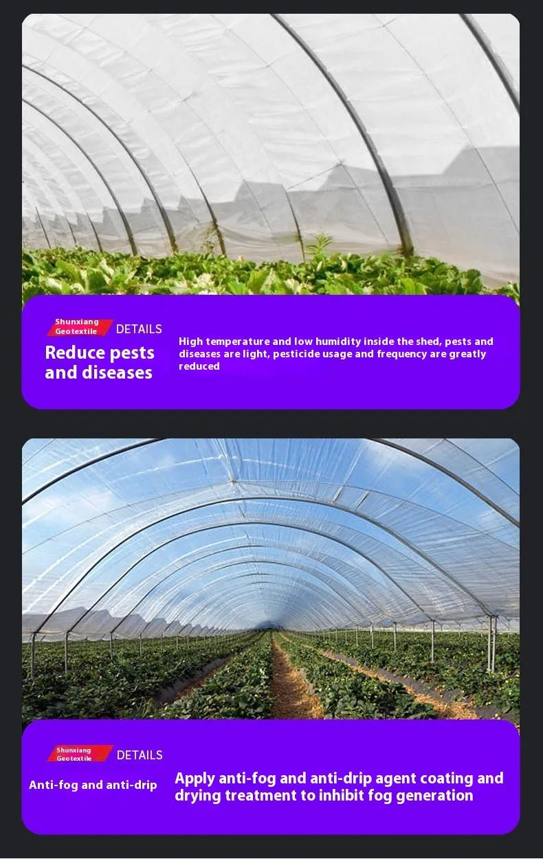 Clear plastic greenhouse cold film roll for vegetable shed insulation, 4x8 metre size.