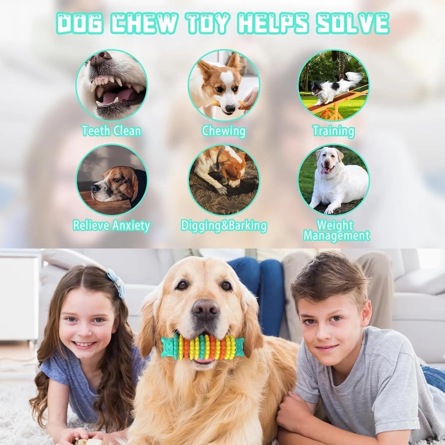 Blue caterpillar-shaped rubber dog chew toy for aggressive chewers.