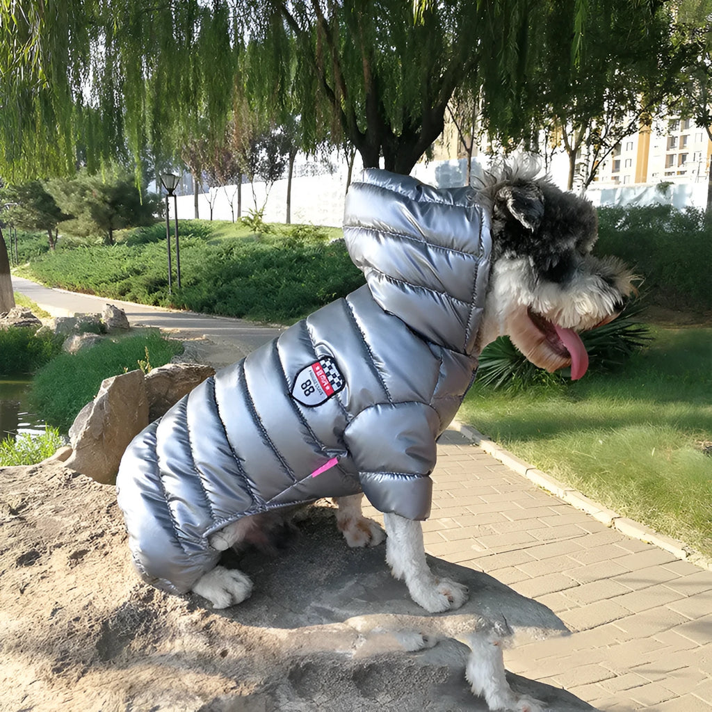 Pet down cotton jacket for dogs, casual outdoor coat, grey colour, side view on dog