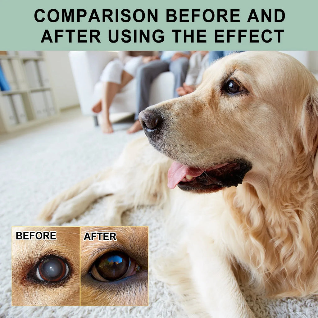 Dogs And Cats Eye Care Eye Drops 100ml bottle for pet eye cleaning, general use.