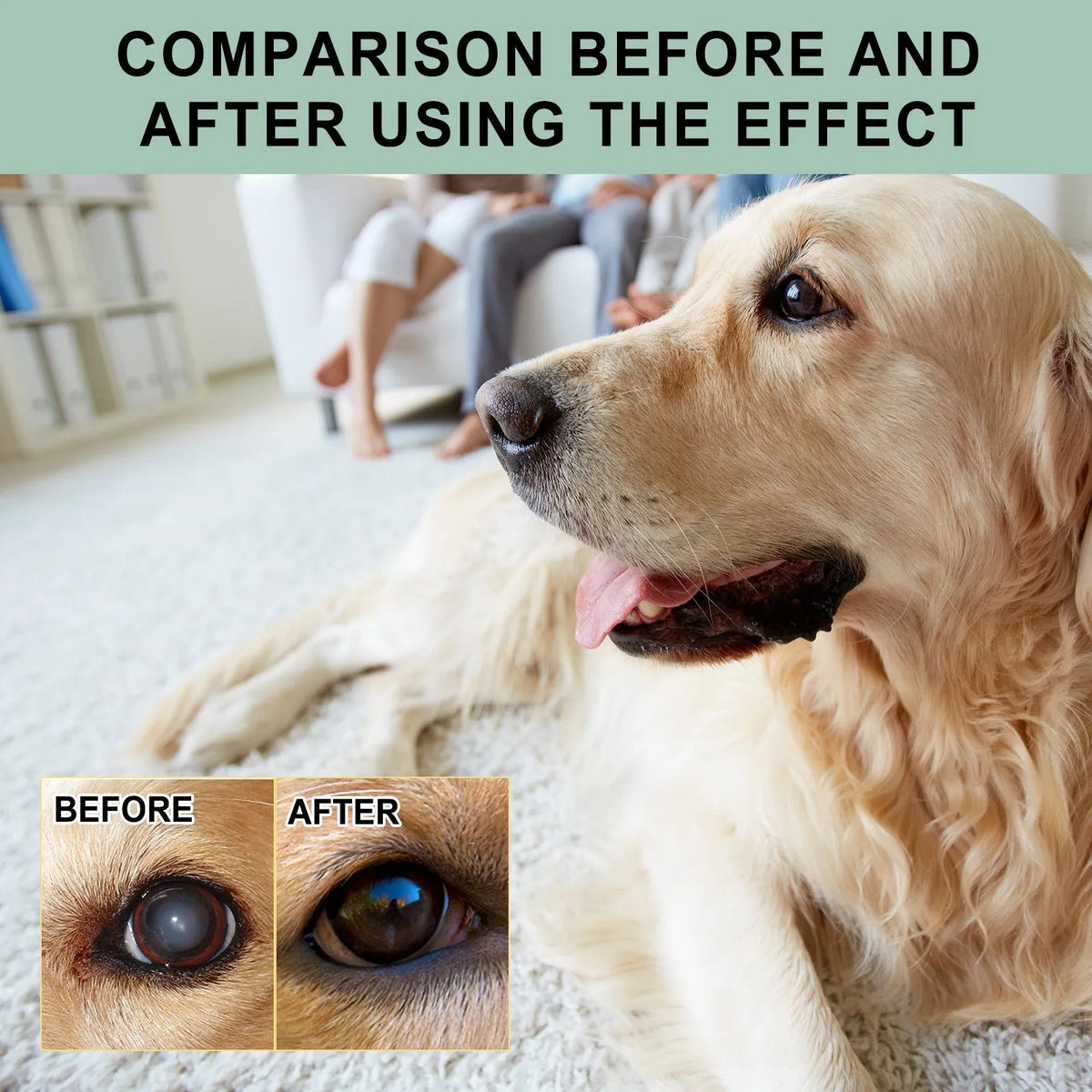 Dogs And Cats Eye Care Eye Drops 100ml bottle for pet eye cleaning, general use.