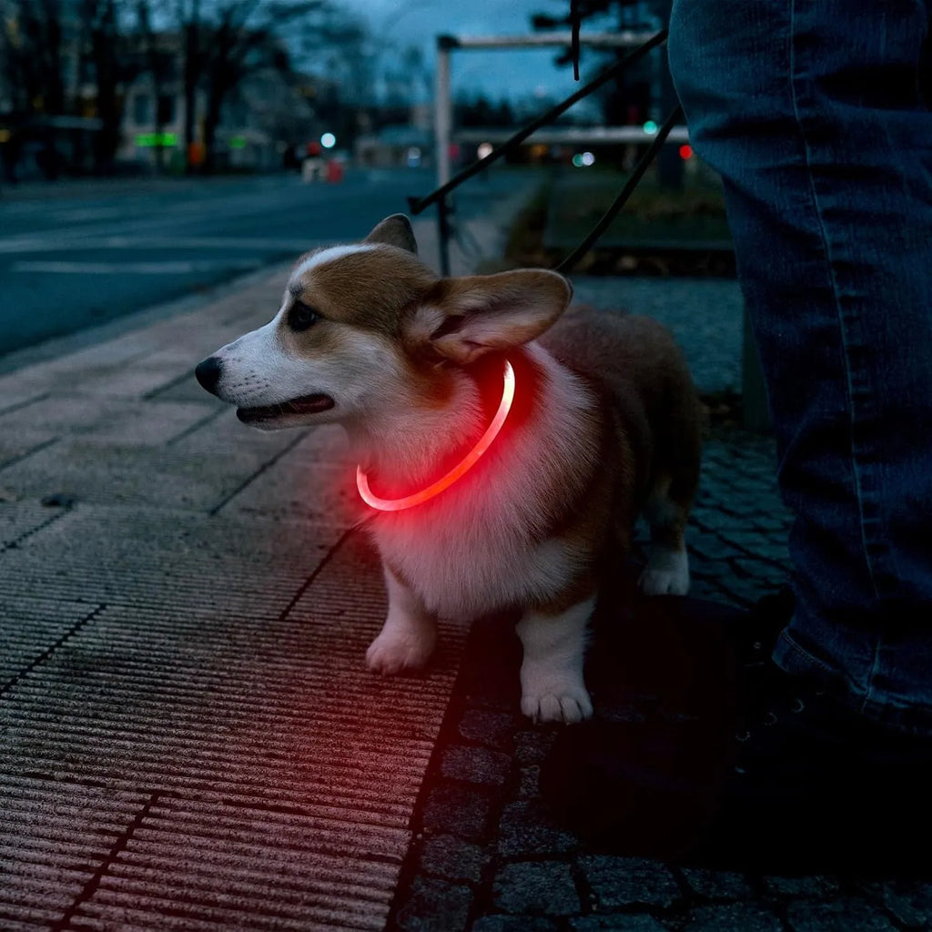 USB rechargeable LED light-up dog collar in blue, showing the light unit and adjustable TPU strap.