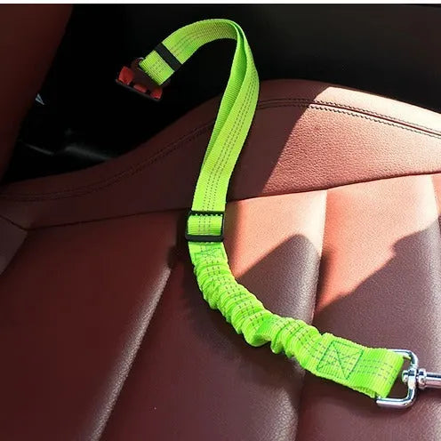 Pet elastic reflective retractable car seat belt in polyester material, colour blue, size 2.5x75cm