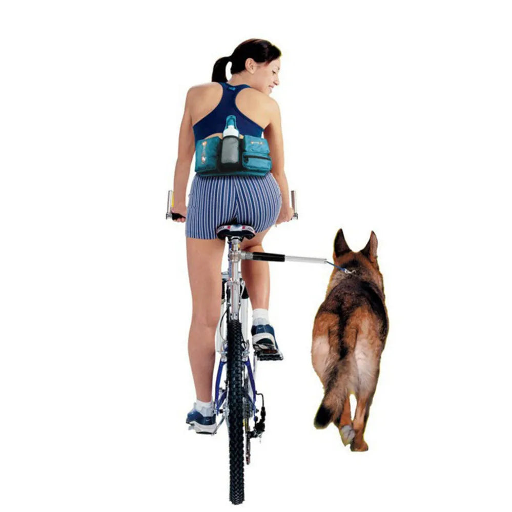 Black bicycle dog walker with detachable traction chain and dual disc brakes on 24x15 hard frame