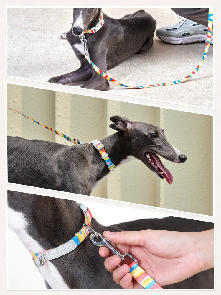 Blue nylon dog traction belt with 120cm lead on a white background, size M